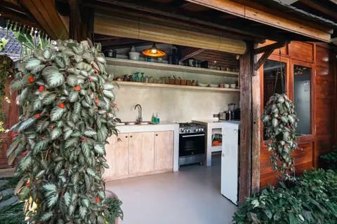 Rumah Elfi: kitchen with plants and wooden cabinets