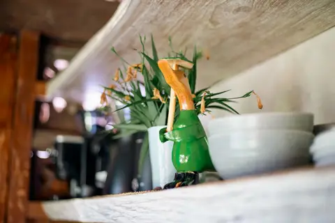 Rumah Richard: kitchen details with plants